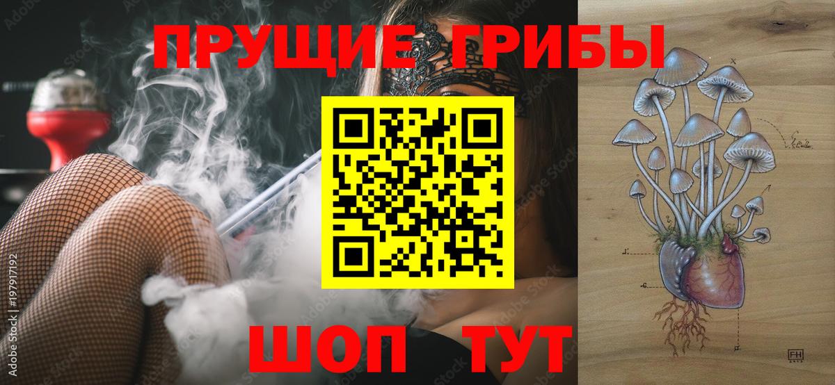 Галлюциногенные грибы GOLDEN TEACHER  Вход с VPN  Киселёвск 
