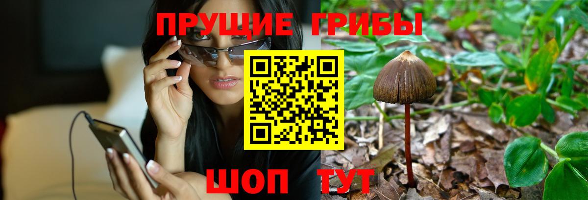 Галлюциногенные грибы MAGIC MUSHROOMS Киселёвск